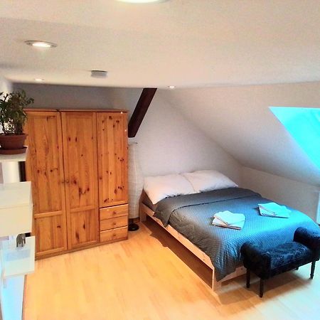 Apartman Penelope Žatec Zewnętrze zdjęcie