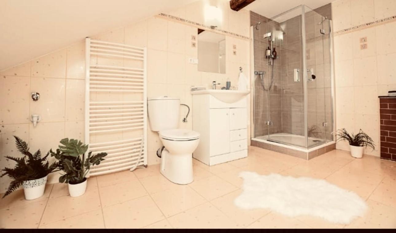 Apartman Penelope Žatec Zewnętrze zdjęcie